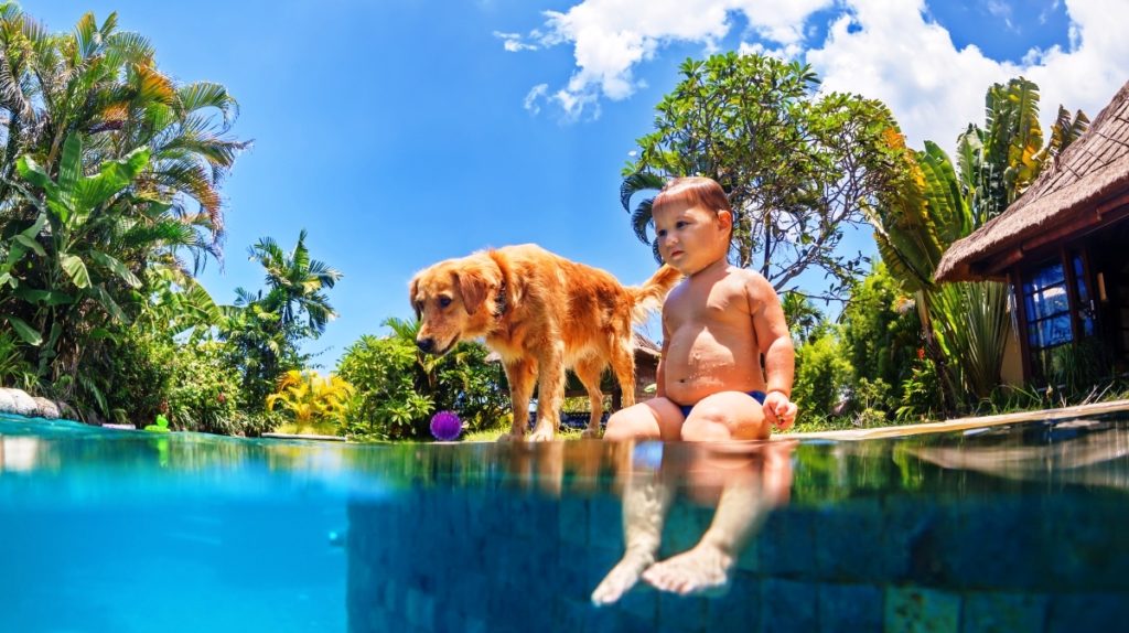 pas i plivanje