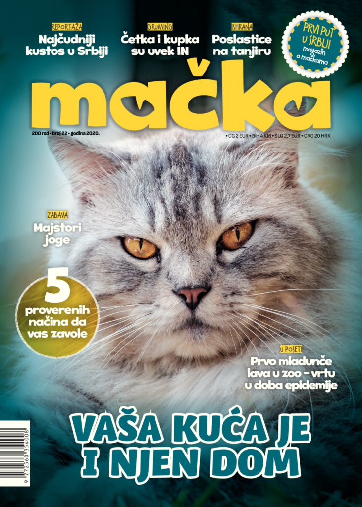 magazin mačka