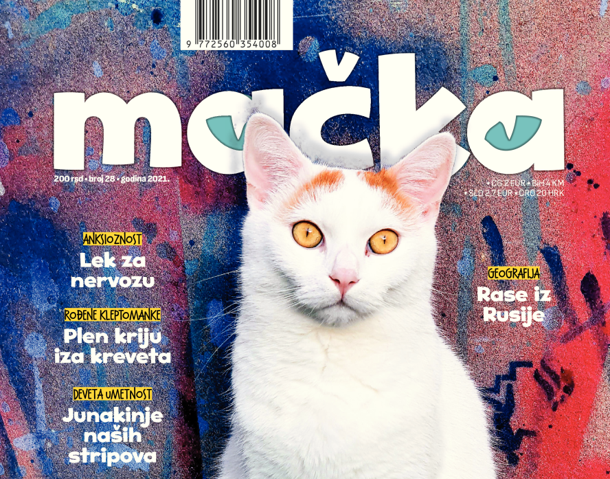 magazin mačka