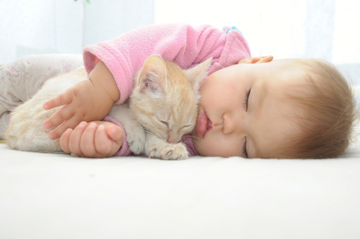 beba spava sa mačkom