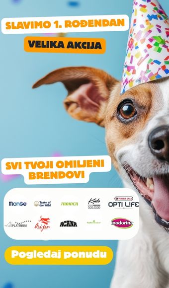Petcity rodjendan